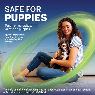 Image showing  PLUS Flea, Tick & Worm Treatment Chewables for Dogs