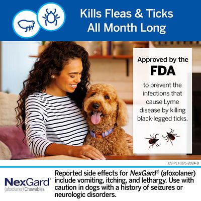 Image showing  for Dogs and Puppies