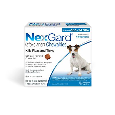 NexGard for Dogs and Puppies