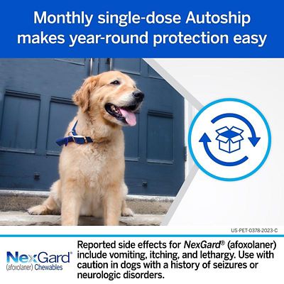 Image showing  for Dogs and Puppies