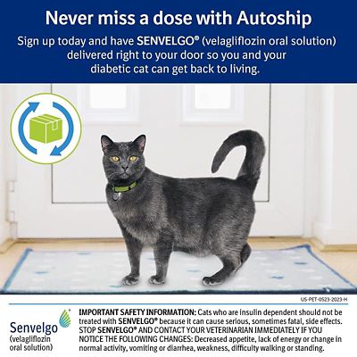 Image showing  (Velagliflozin) Oral Solution for Cats, 15 mg/mL