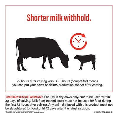 Image showing  Mastitis Treatment for Dry Cows, 10 mL, 12 ct.