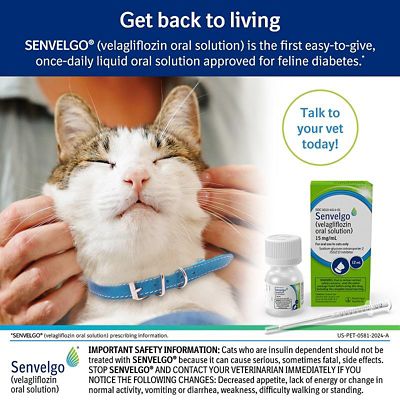 Image showing  (Velagliflozin) Oral Solution for Cats, 15 mg/mL