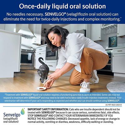 Image showing  (Velagliflozin) Oral Solution for Cats, 15 mg/mL
