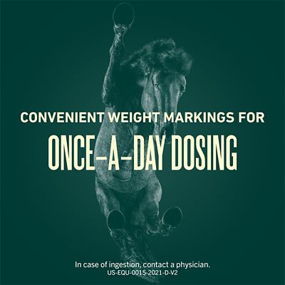 Image showing  Oral Paste for Horses, 1 syringe