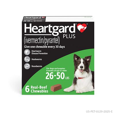 Image showing  Plus Chewables for Dogs