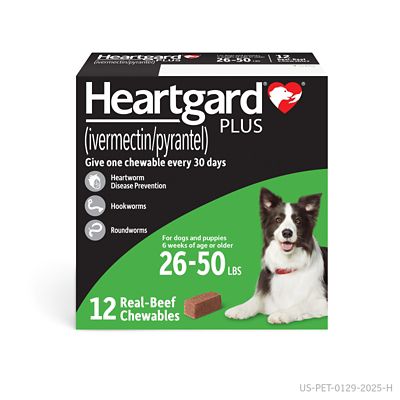 Image showing  Plus Chewables for Dogs
