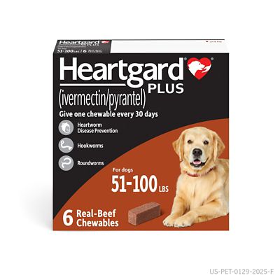 Image showing  Plus Chewables for Dogs