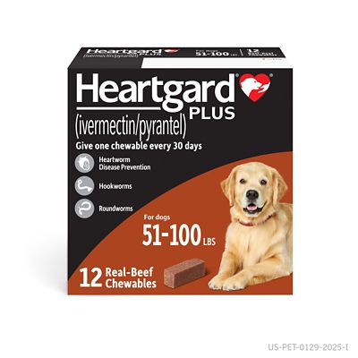 Image showing  Plus Chewables for Dogs