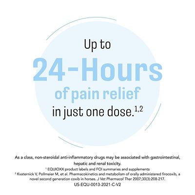 Image showing  (Firocoxib) Oral Paste