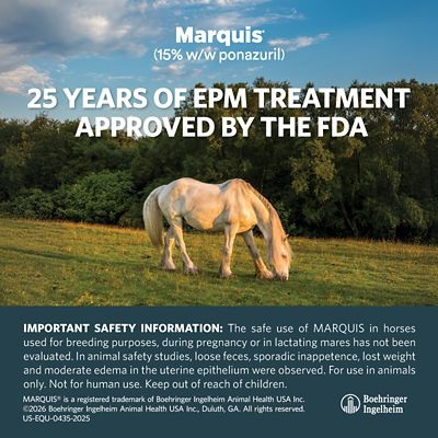 Image showing  15% w/w ponazuril, Antiprotozoal Oral Paste for Horses, 127g