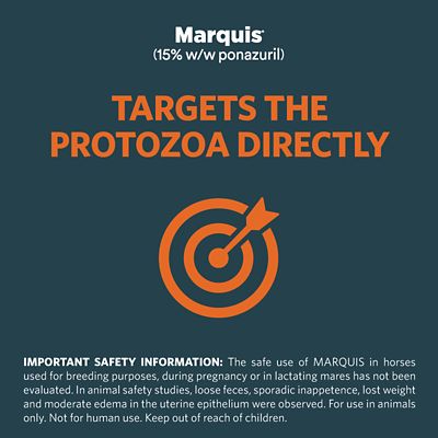 Image showing  15% w/w ponazuril, Antiprotozoal Oral Paste for Horses, 127g
