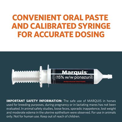 Image showing  15% w/w ponazuril, Antiprotozoal Oral Paste for Horses, 127g