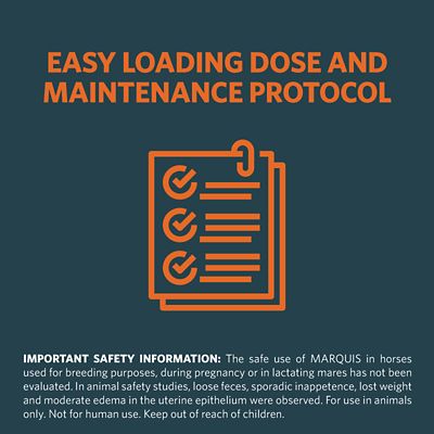 Image showing  15% w/w ponazuril, Antiprotozoal Oral Paste for Horses, 127g