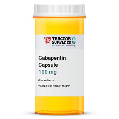 image of a Cat Prescriptions