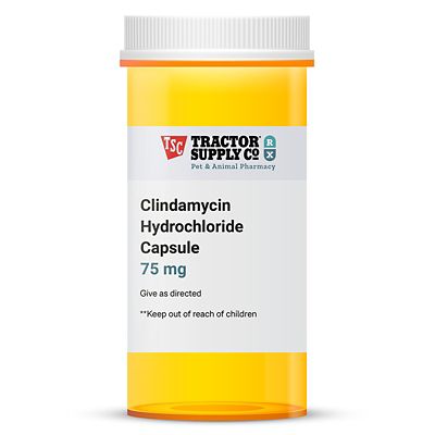 Image showing Clindamycin Hydrochloride Capsule