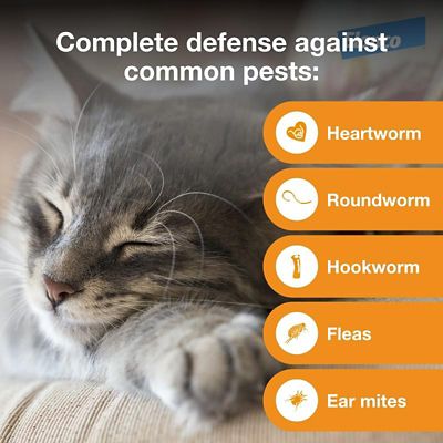 Image showing  Multi Topical for Cats