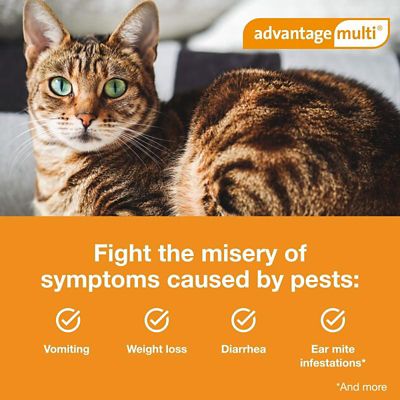 Image showing  Multi Topical for Cats