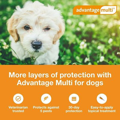 Image showing  Multi Topical for Dogs