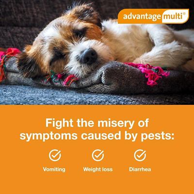 Image showing  Multi Topical for Dogs