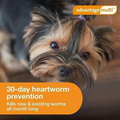 Image showing  Multi Topical for Dogs