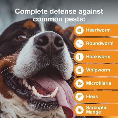 Image showing  Multi Topical for Dogs