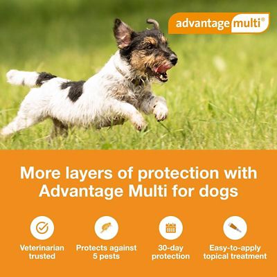 Image showing  Multi Topical for Dogs