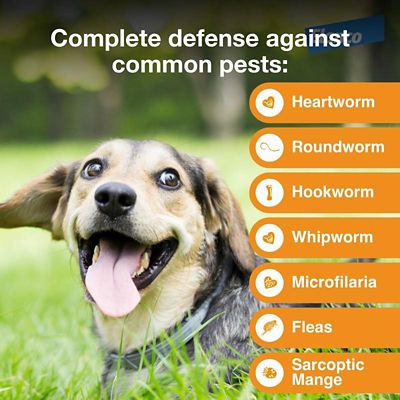 Image showing  Multi Topical for Dogs