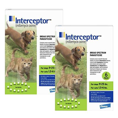 Image showing  for Dogs and Cats