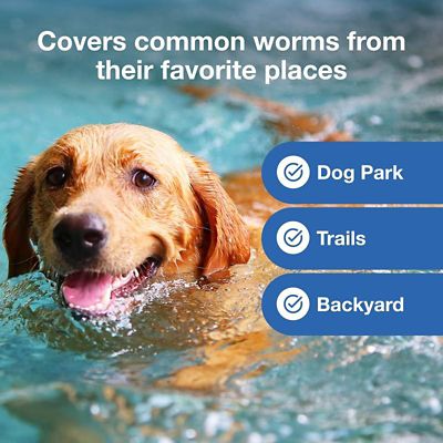 Image showing  Plus Chewable Tablets for Dogs