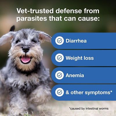 Image showing  Plus Chewable Tablets for Dogs