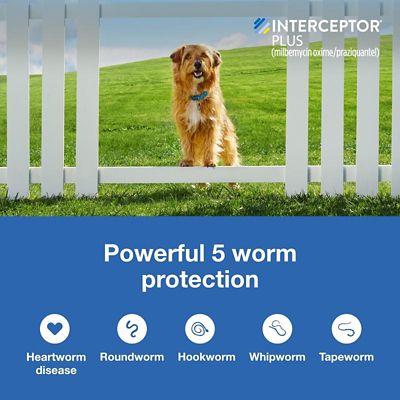 Image showing  Plus Chewable Tablets for Dogs