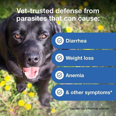 Image showing  Plus Chewable Tablets for Dogs