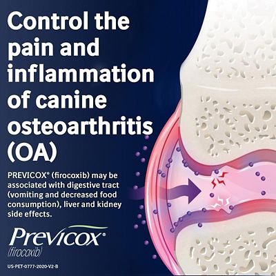 Image showing  (Firocoxib) Chewable Tablets