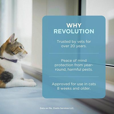 Image showing  Topical for Cats