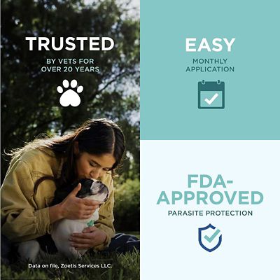 Image showing  Topical for Dogs