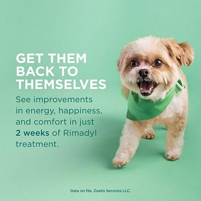 Image showing  (Carprofen) Chewables