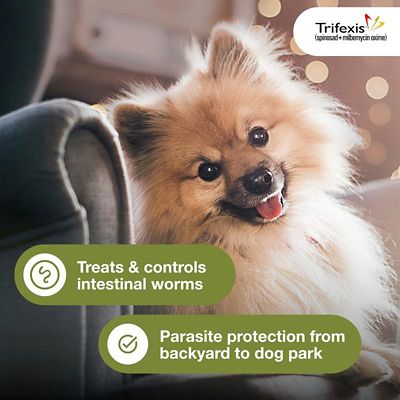 Image showing  Chewable Tablets for Dogs