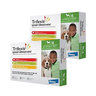 Image showing  Chewable Tablets for Dogs