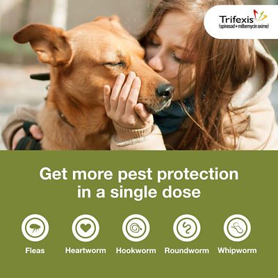 Image showing  Chewable Tablets for Dogs