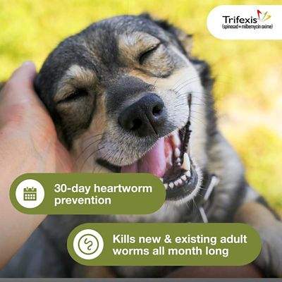 Image showing  Chewable Tablets for Dogs