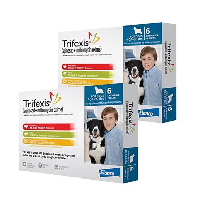 Image showing  Chewable Tablets for Dogs