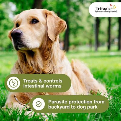 Image showing  Chewable Tablets for Dogs