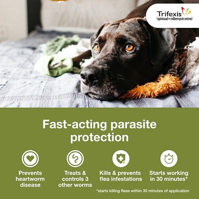 Image showing  Chewable Tablets for Dogs