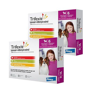 Image showing  Chewable Tablets for Dogs