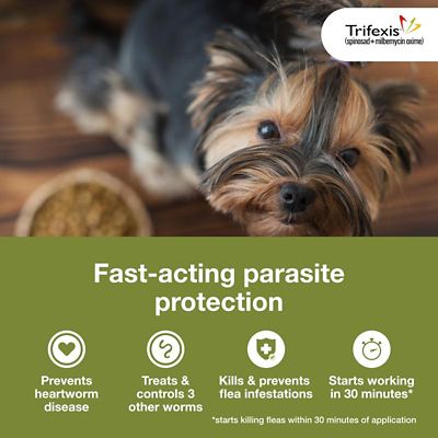 Image showing  Chewable Tablets for Dogs