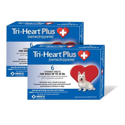 Image showing  Plus Chewable Tablets for Dogs