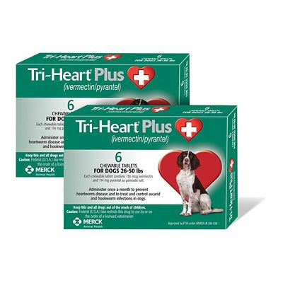 Image showing  Plus Chewable Tablets for Dogs