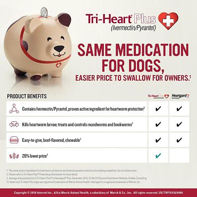 Image showing  Plus Chewable Tablets for Dogs