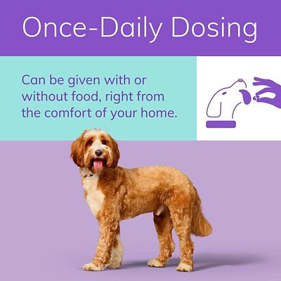 Image showing  Tablet